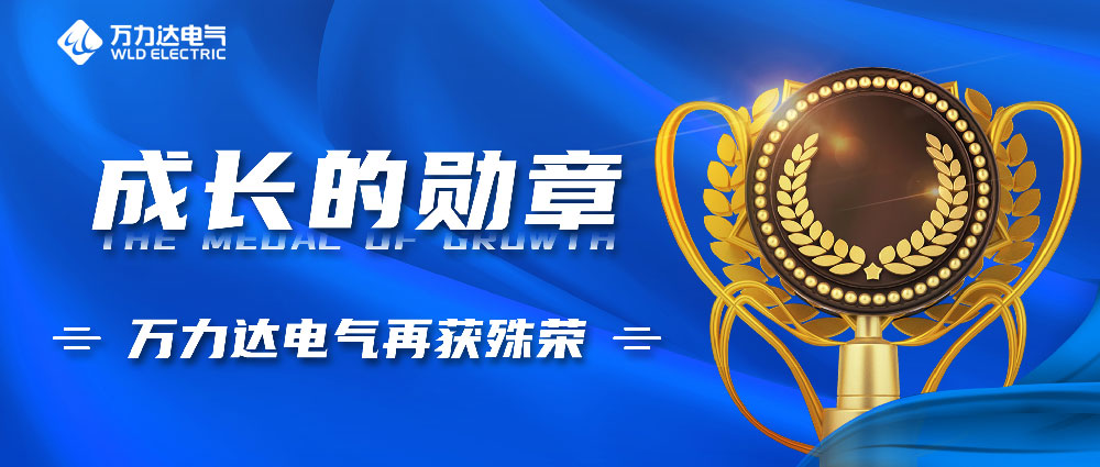 成長(cháng)的勛章！萬(wàn)力達電氣再獲殊榮